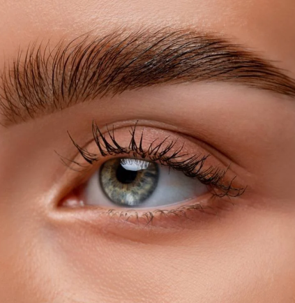 Brow lamination